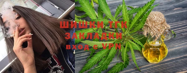 ГАЛЛЮЦИНОГЕННЫЕ ГРИБЫ Алзамай