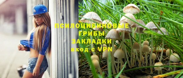 ГАЛЛЮЦИНОГЕННЫЕ ГРИБЫ Алзамай